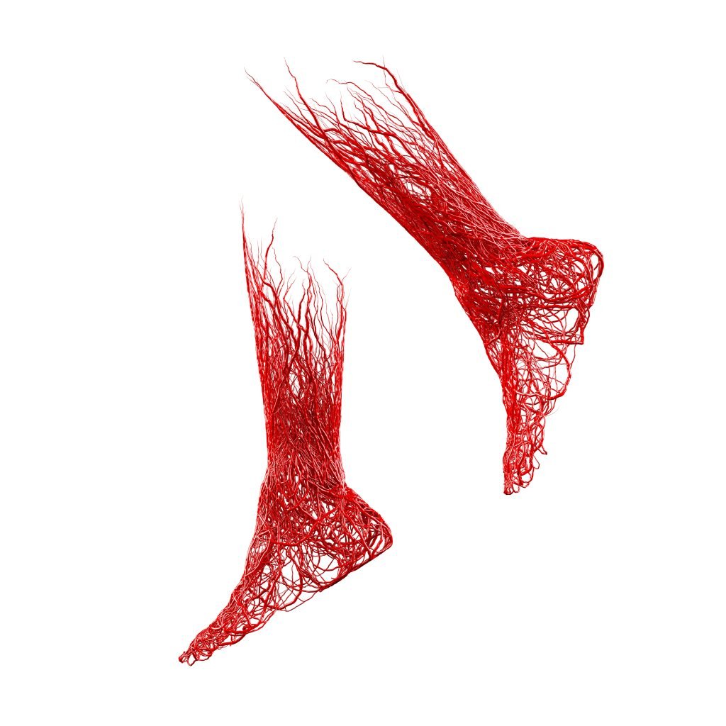 3d foot and leg red blood veins arteries, aorta knit tangled white background. vascular disease is varicose veins. venous system of the foot anatomy, clinical aspects. clipping path. 3D Illustration.